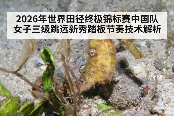 2026年世界田径终极锦标赛中国队女子三级跳远新秀踏板节奏技术解析